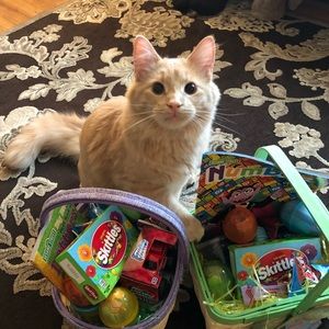 Meet your Posher, Dana